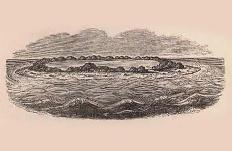 llustrations from Voyage of the Beagle (1839)