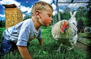 chicken and child