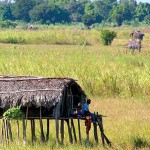 Bantu farmer
