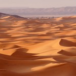 sahara
