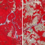 deforestation in Brazil