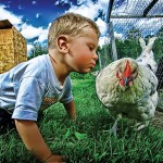 chicken and child
