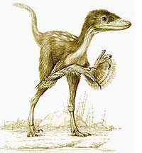 Dromaeosaur