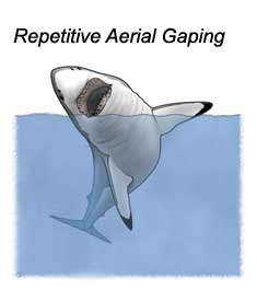 Repetitive Aerial Gaping