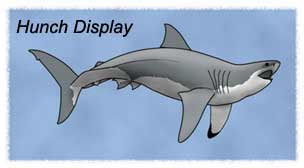Hunch Display