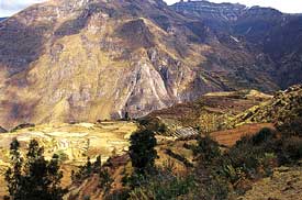 Scarce but carefully apportioned irrigation water from two alpine springs enables the villagers of Huaynacotas to stretch the maize-growing season to nine months.