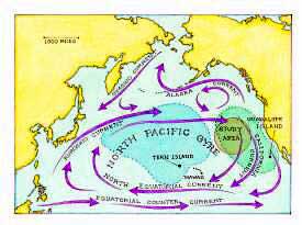 Currents in the North Pacific move in a clockwise spiral.