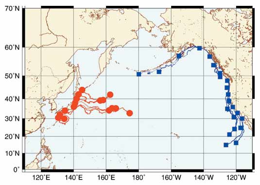 The position of drift after 183 days