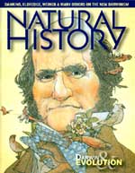 November 2005 cover