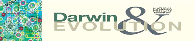 Darwin & Evolution