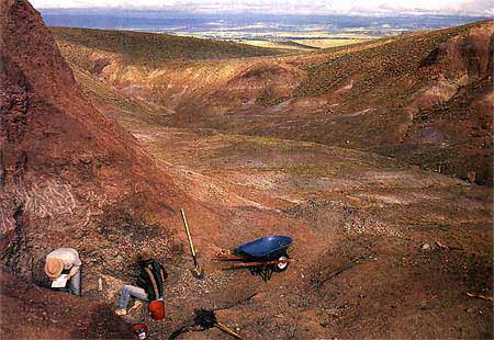 Bone collectors excavate a Shrine site quarry in south-central Montana.