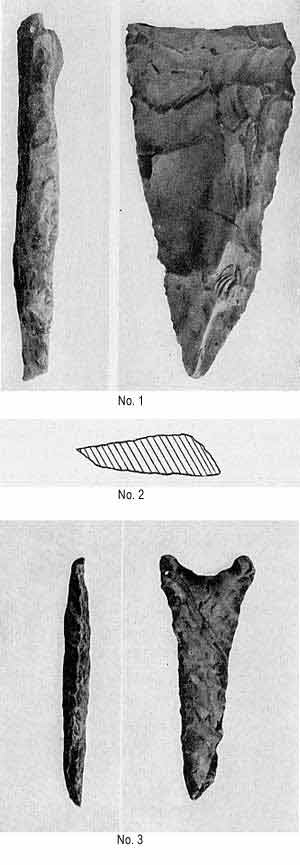 Artifacts found associated with fossil mammal remains near Frederick, Tillman County, Oklahoma.