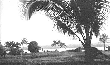 A clearing at a Government Coast Village