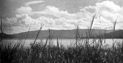 A view of Anggi Gidji Lake
