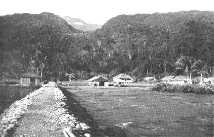 The Wandammen Mountains from the coast: For the most part the coast of northern New Guinea is lined with mountains that rise abruptly from the sea.
