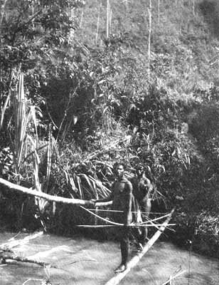 A primitive bridge: Native “boys” arriving at Doctor Mayr’s camp in order to offer their services as hunters