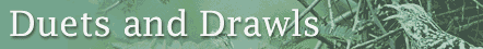 duets and drawls