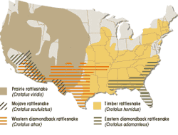Rattlesnake Distribution