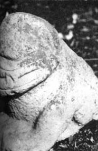 stone animal