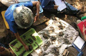 Bone collector slideshow