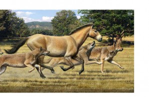 Aelurodon ferox pack pursues a three-toed horse