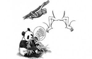Bat/Panda