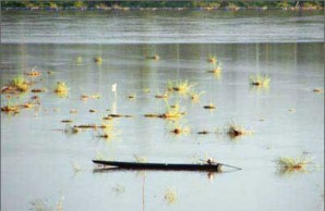 fishing 1 and 2