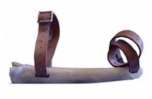 old skate