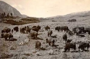 National Parks