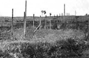 Fence