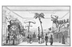 Picadilly Museum