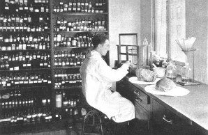 Ambergris is perfume lab
