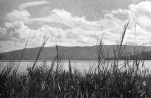 Anggi Gidji Lake Anggi Gidji Lake