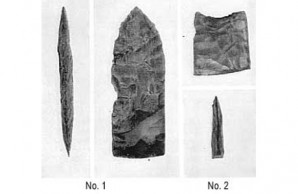 artifacts fossil bison