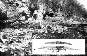 Excavating in Fort Lee