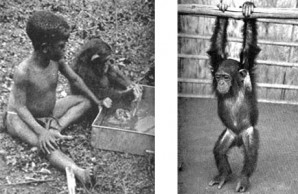 Meshing splashing and hanging