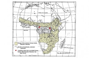 Guinea Forest map