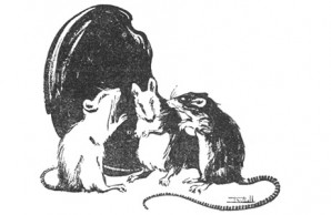 three singing mice