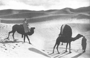 Great Desert Great Desert