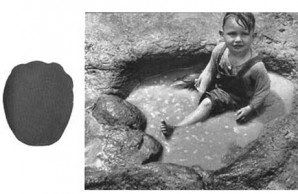 dinosaur track