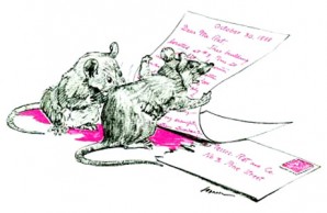 rats