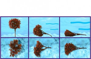 algae