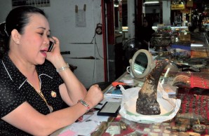 fake rhino horn