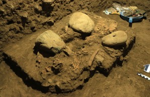 Brownish skeletal remains on brown dirt background