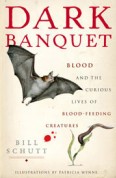 dark banquet