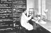Ambergris is perfume lab
