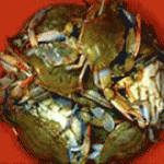 crab