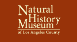 LA County logo