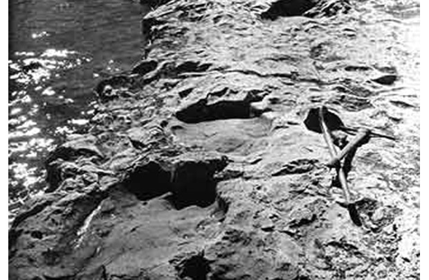 dinosaur footprints